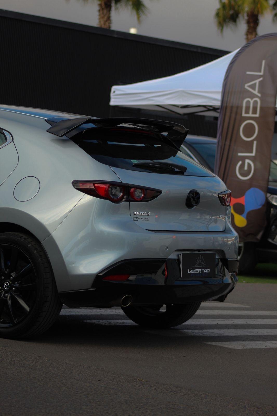 Miniatura custom_imagen_7