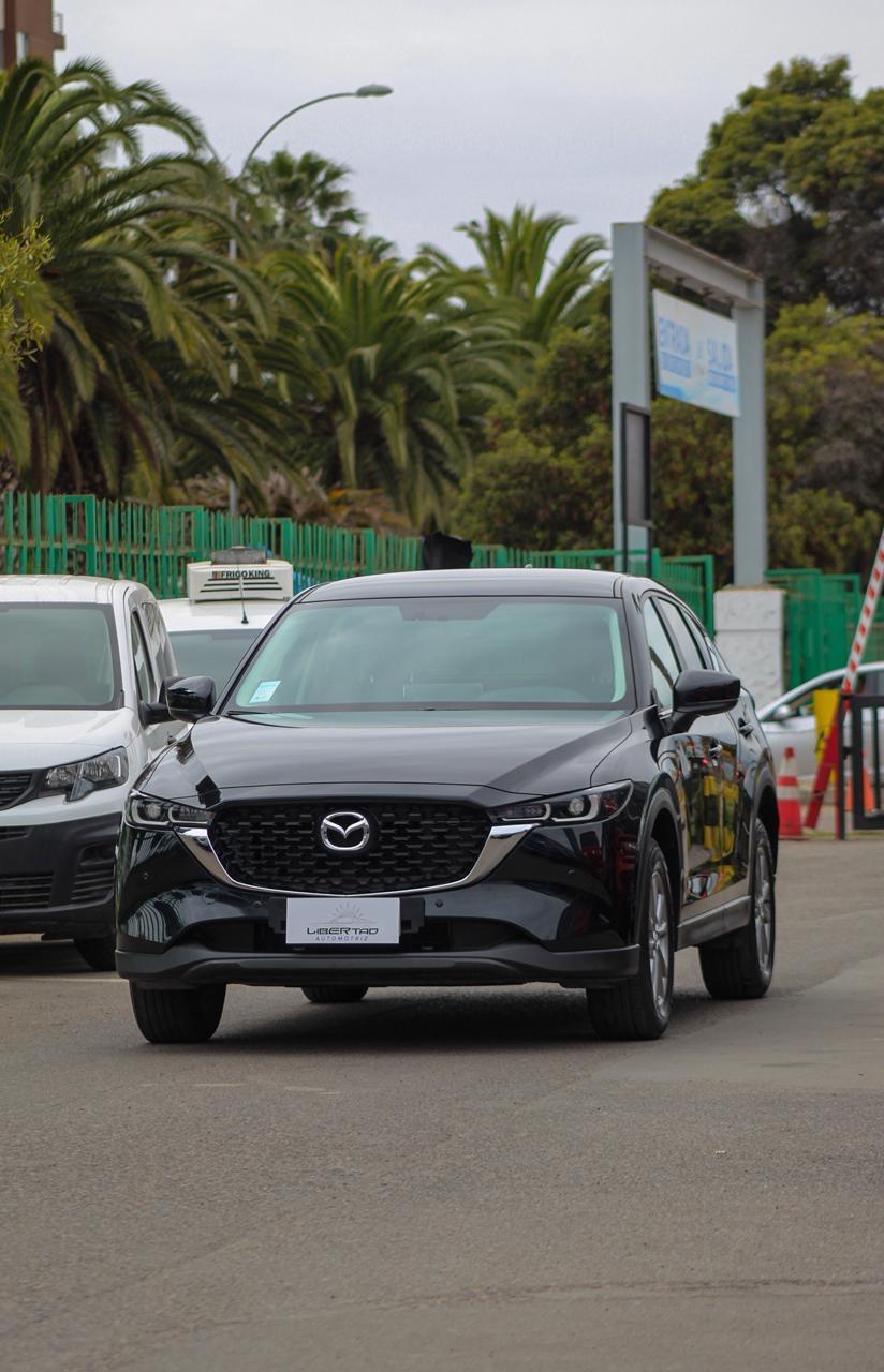 Miniatura custom_imagen_3