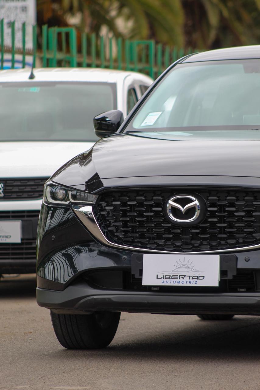 Miniatura custom_imagen_4